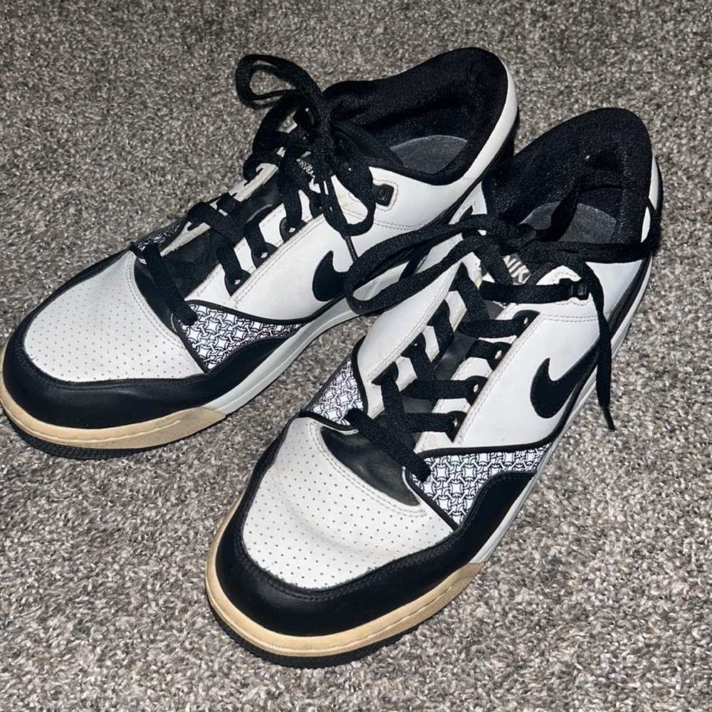 Panda Nike Assault Airs